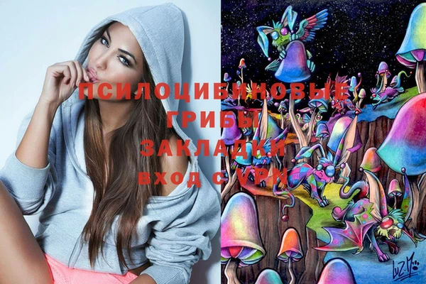 спиды Алзамай